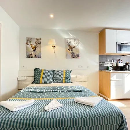 M4 Coeur Rer Bc 600m - Orly20 Min * Massy (Essonne)